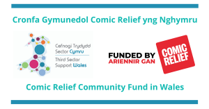 Comic Relief Community Fund joint logo 300x157